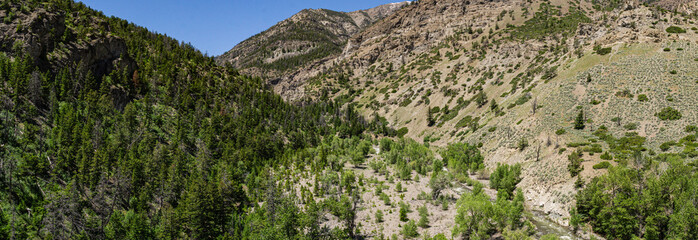 Panorama of Mountain Canyon in the Wyoming Rockies