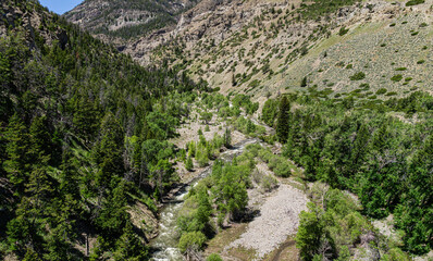 Wyoming Mountain Canyon in the Rockies near Yellowstone