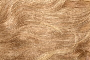 Naklejka premium Blond hair close-up as a background. Women's long blonde hair. Beautifully styled wavy shiny curls. Hair coloring. Hairdressing procedures, extension.