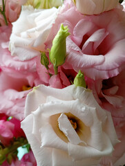 Bouquet of white and light pink Lisianthus photographed close up.