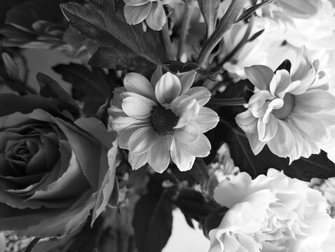 Black and white photo with bouquet of rose and daisies, top view. - Powered by Adobe