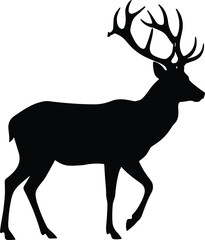  Bald eagle silhouette, flying bird icon, wings spread, patriotic symbol, wildlife illustration, freedom design, nature vector, majestic animal pose