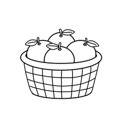 Oranges fruit for coloring book