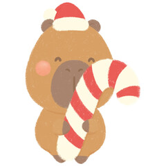 Capybara with candy cane 