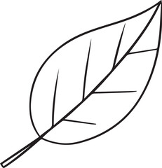 Black and white vector illustration of elliptical leaf with central vein and symmetrical branching structure