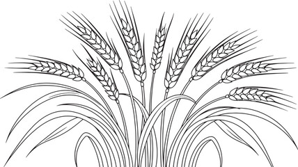Line art illustration of a bundle of wheat stalks with leaves.