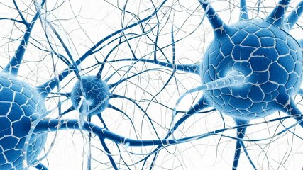 Neural network diagram technology ai data connection digital algorithm brain science futuristic structure glowing blue neuron scene dynamic neurons communicating neural cells interconnected conveying - Powered by Adobe