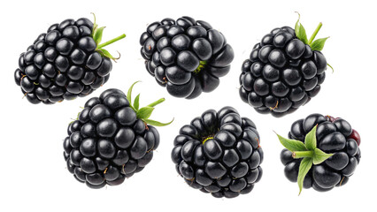 Fresh Blackberries Isolated on Transparent Background
