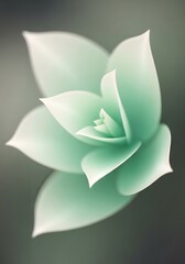 Serene succulent blossom close up creating a calming abstract aesthetic featuring layered petal geometry and soft
