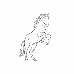 A majestic horse rearing up on its hind legs in a powerful display of energy and freedom.