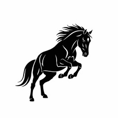 Majestic black horse in a dynamic pose, showcasing power and elegance.