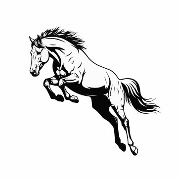 Stylized black and white drawing of a rearing mustang.