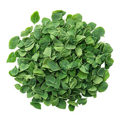 Fototapeta premium Top View Dried Fenugreek Leaves Methi Studio Shot Isolated White Transparent Background
