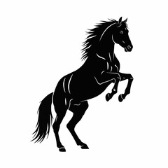 Majestic black horse rearing up on hind legs powerful silhouette.