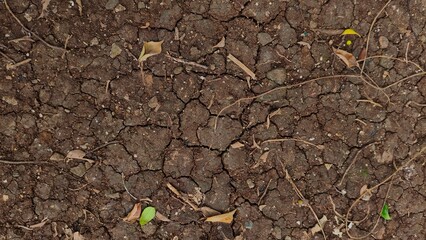 Cracked Dry Soil Texture with Drought Patterns on the Ground Surface