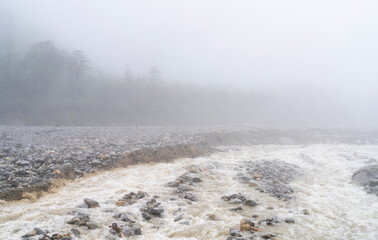 flood river in valley with powerful water in the rain