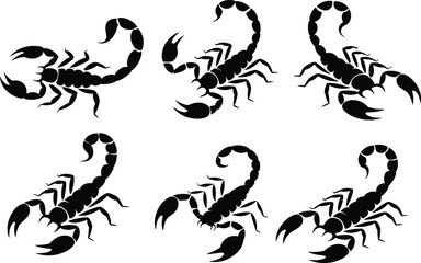 Collection of scorpion silhouettes, black arachnid vector illustrations, Scorpio zodiac signs, poisonous animal icons, isolated on white background.