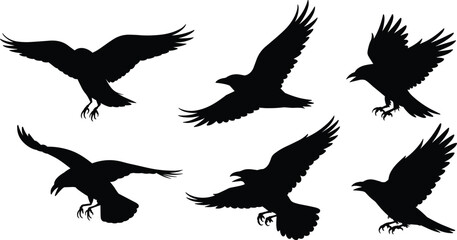 Black crow bird silhouettes in various flying and landing poses, high-contrast wildlife shapes for design and decoration, cad drawing flat vector illustration