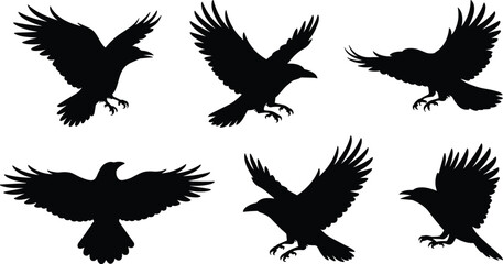 Obraz premium “Black raven bird silhouettes in flight and landing, detailed vector illustration set for wildlife design, decoration, and cad drawing flat vector illustration”