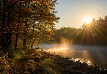 Sunrise over a misty lake in autumn with golden light filtering through the trees creating a serene and peaceful landscape