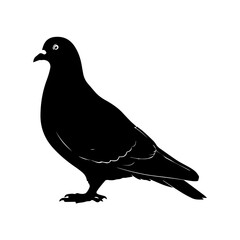 Silhouette of a Pigeon Black and White Illustration of a Bird for Design Projects