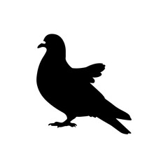 Fototapeta premium Black Pigeon Silhouette A Simple Icon for Nature and Urban Environments
