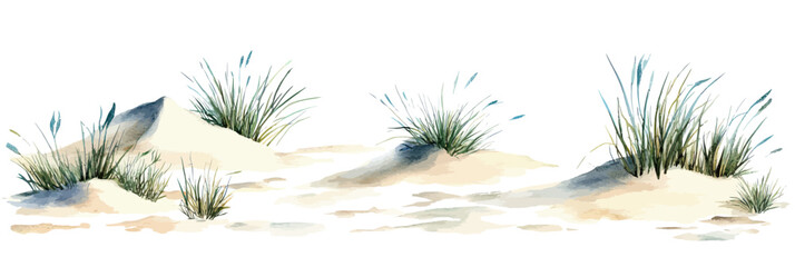 Hand drawn watercolor coastal sand dunes with green sea grass isolated on white background minimalist flat style vector illustration natural beach landscape elements for design decor