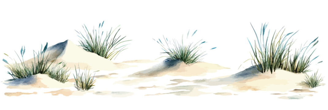 Hand drawn watercolor coastal sand dunes with green sea grass isolated on white background minimalist flat style vector illustration natural beach landscape elements for design decor