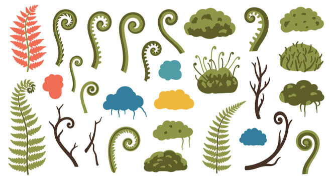 Beautiful collection of forest botanical elements, including ferns, fiddleheads, moss, and branches for nature-themed designs.