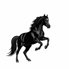 Majestic Black Stallion Rearing Up Proudly.