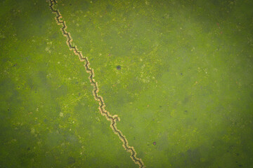 Aerial abstract of a military trench (zigzag defensive line) cutting through vibrant green grass in a conflict zone. The image showcases war damage evidence with a strong aesthetic vignette.