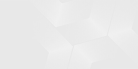 Hexagon white gray wave light technology texture background. Abstract big data digital concept simple art modern abstract