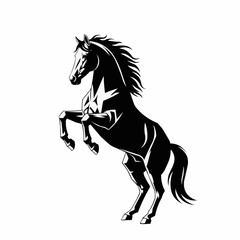 Majestic black horse rearing up in a powerful silhouette.