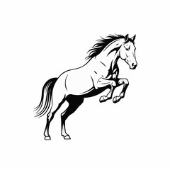 Majestic Horse Rearing Up in Dynamic Pose.