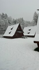 domek w lesie obok gór, ładnie wygląda. © Salk_56