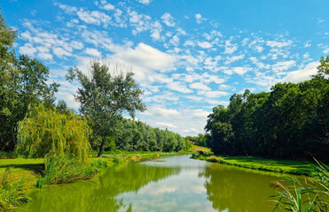 Fototapeta premium Landscape, narrow river in the center, lush green diverse plants and trees on both sides, with a blue sky, few white clouds, in sunlight.