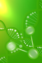 Hyaluronic acid and Niacinamide hair and skin solutions ad, green collagen serum drop with cosmetic advertising background ready to use, illustration vector.