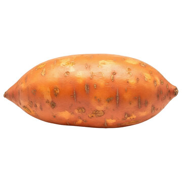 Whole raw sweet potato tuber with orange skin ready for cooking on transparent background