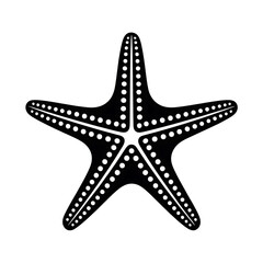 Detailed white starfish illustration with intricate patterns isolated on transparent background