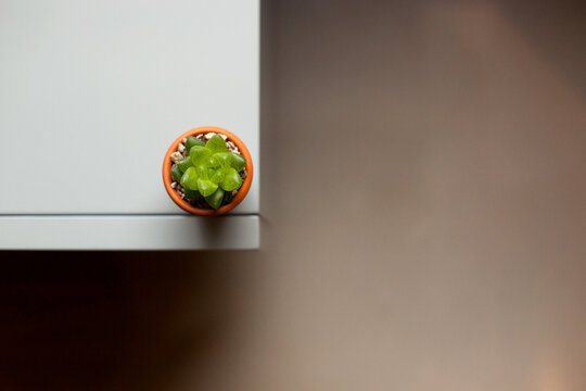 Top view of mini succulent in terracotta pot on modern desk with copy space - Powered by Adobe