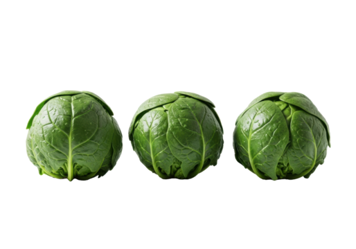 Four distinct, glistening fresh deep green spinach heads, crisp texture, on a seamless transparent background with ample copy space. Concept of clean eating and healthy living