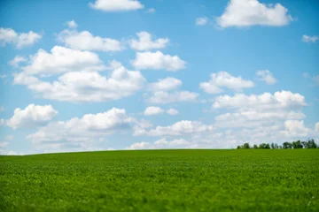 Fotobehang Blauw Green field blue sky clouds over rolling vibrant landscape suitable for copy space  © svetograph
