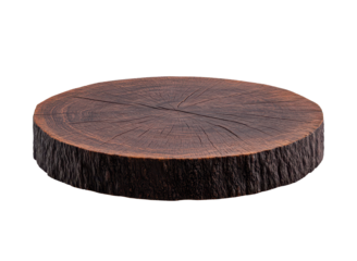Round natural wood log slice with visible growth rings and textured bark, ideal as product display surface or rustic design element..