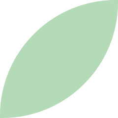 Pale Green Abstract Leaf Shape With Transparent Background And Soft Smooth Curves Overlay Design Element