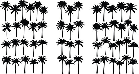 Collection of Black Palm Tree Silhouettes on a White Background tropical nature