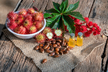 castor oil and seeds on wooden background