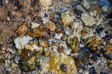 Wet, multi-colored river stones and pebbles create a natural abstract texture with trickling clear water over the rocky bed