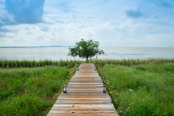 Wooden walkway to extending all the way to the lake with the tree in the end and blue sky background. The goal is ahead.