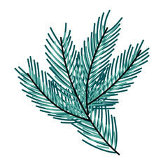 Green pine branch illustration for winter decor. Detailed hand-drawn pine branch perfect for winter themes, Christmas designs, natural elements, and seasonal vector compositions.