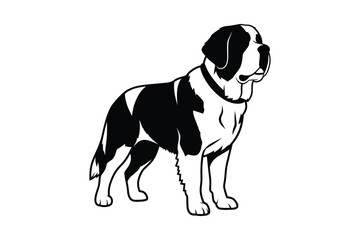 Black and white illustration of a majestic st bernard dog standing proudly